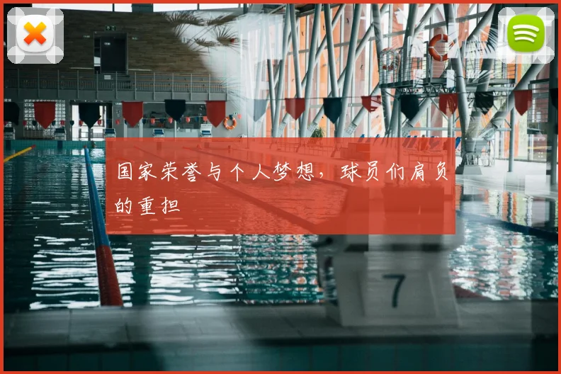 国家荣誉与个人梦想,球员们肩负的重担