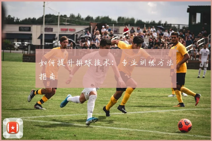 如何提升排球技术：专业训练方法指南